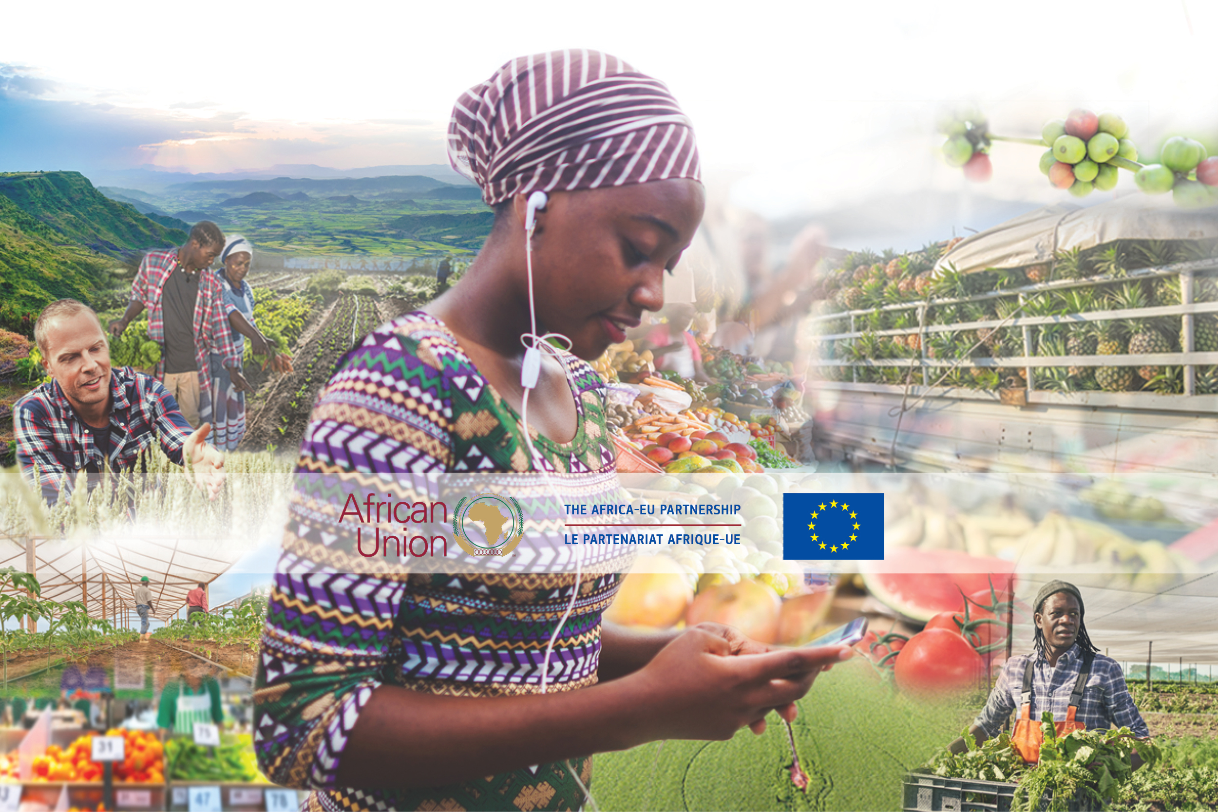 The African-EU Partnership