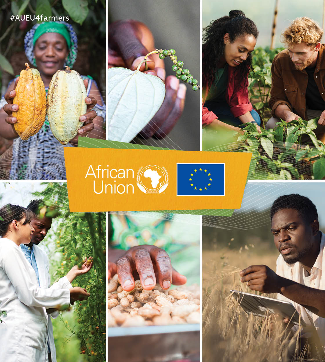 5th AU-EU Agricultural Ministerial Conference