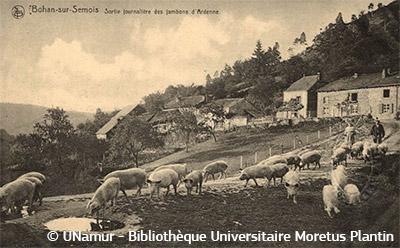 Äldre foto på Bohan-sur-Semois i Ardennerna