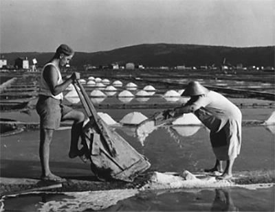 two people harvesting salt by hand, circa 1950s