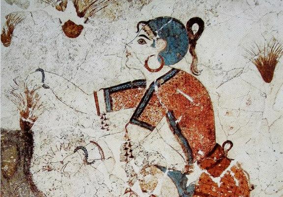 Grieķijā safrāna ražas ievākšanas pirmsākumi meklējami Mīnoja kultūras periodā. Freska “Safrāna vācēja” (1600 g.p.m.ē.) - Autortiesības: Yann Forget / Wikimedia Commons / CC-BY-SA-3.0