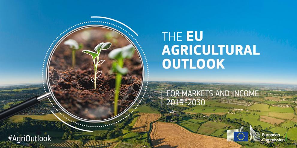 EU agricultural outlook for markets and income 2019-30