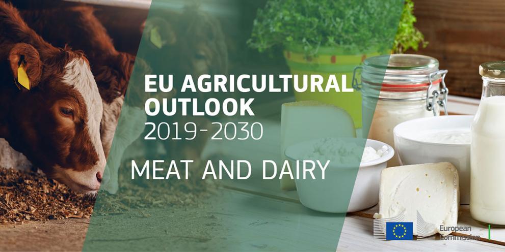 EU agricultural outlook 2019-30 meat and dairy