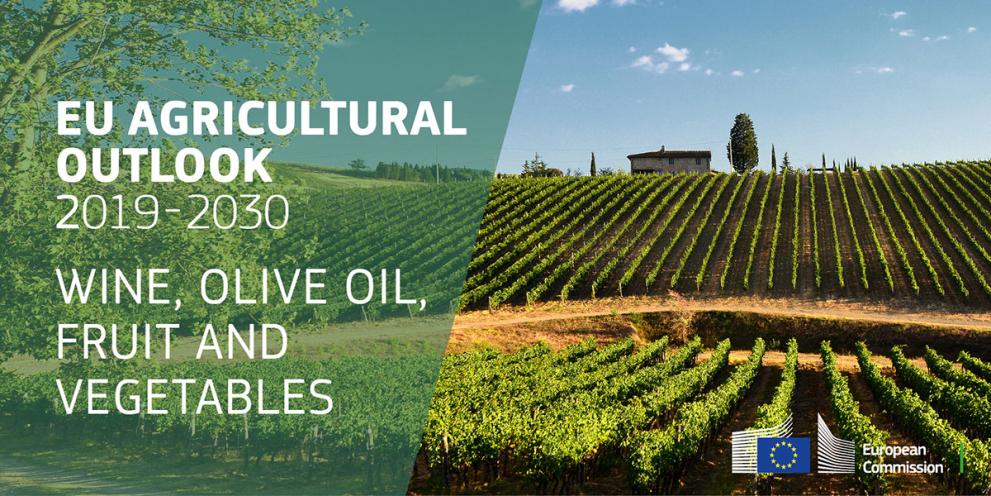 EU agricultural outlook 2019-30 wine, olive oil, fruit and vegetables