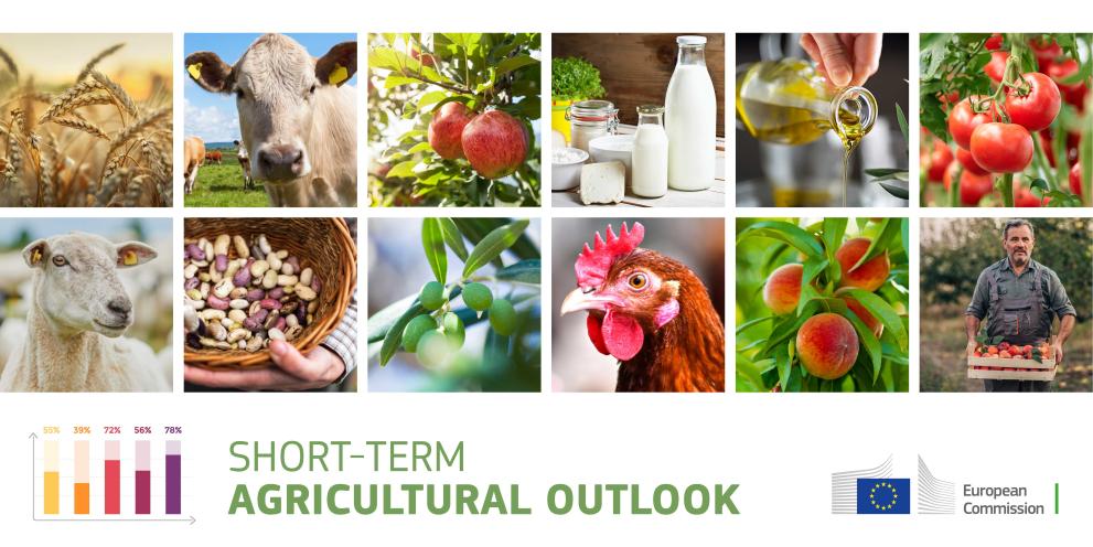 Short-term agricultural outlook