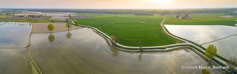 Luftansicht überfluteter Felder für den Reisanbau