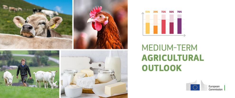 Medium-term agricultural outlook