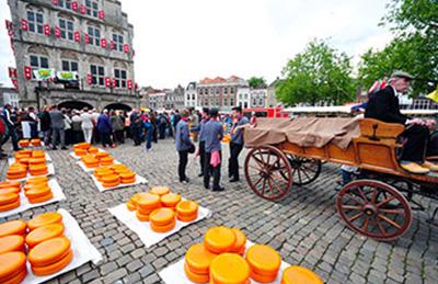 The cheese market has developed into a popular tourist spectacle for visitors to the town of Gouda.