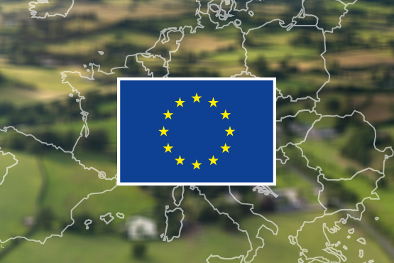 rdp-eu-country-featured-image_555x370.png