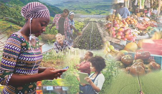 African agricultural land and produce
