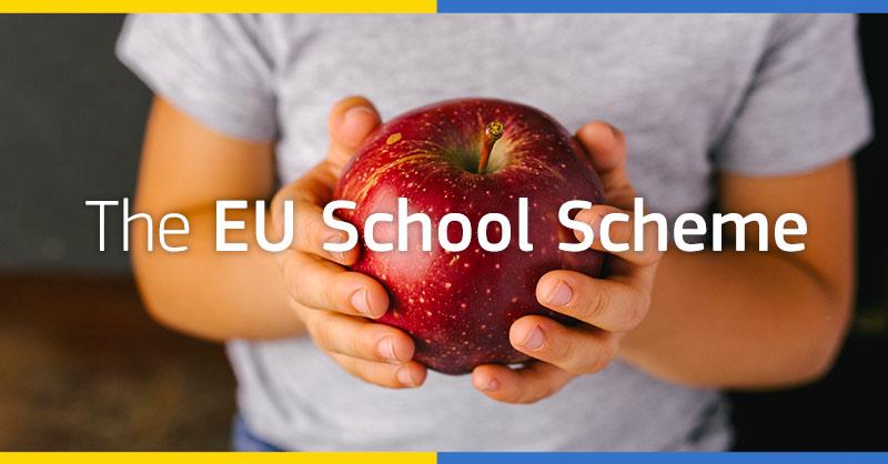 Image: a child holding a red apple. The EU school scheme
