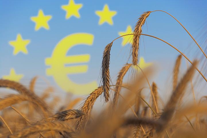 a wheat field with a euro symbol and the EU stars in the background
