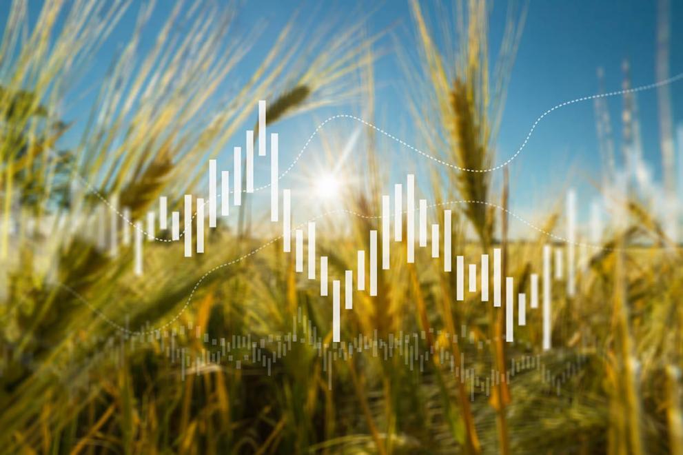 close-up of a wheat field overlaid with a graphic depicting chart data 