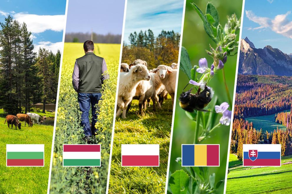 snapshots of agricultural land and flags of Bulgaria, Hungary, Poland, Romania and Slovakia