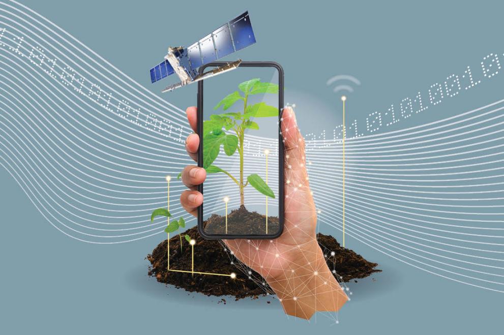 a hand holding a smartphone analysing a plant