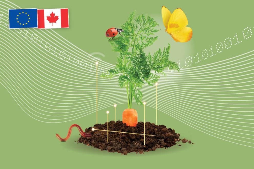EU and Canada flags and a carrot growing in soil