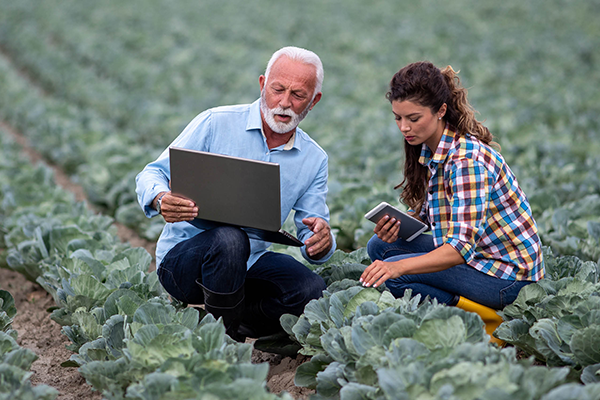A man holding a laptop in a field with a woman