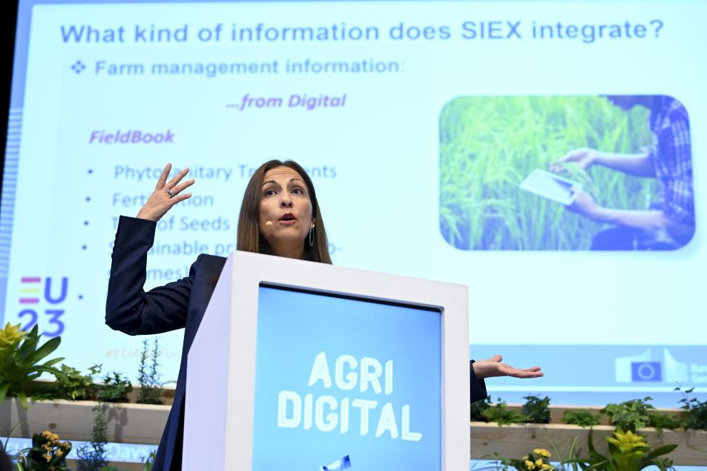 Maria José Hernández Mendoza presenting at the Agri-Digital conference