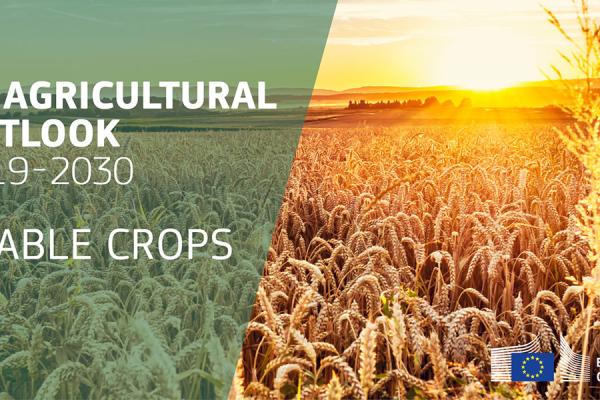 EU agricultural outlook 2019-30 arable crops