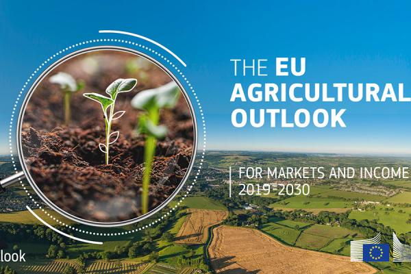 EU agricultural outlook for markets and income 2019-30