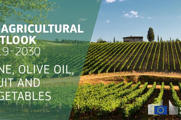 EU agricultural outlook 2019-30 wine, olive oil, fruit and vegetables