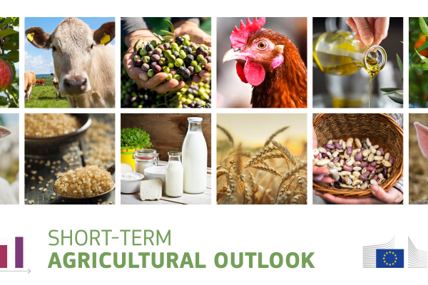Short-term agricultural outlook