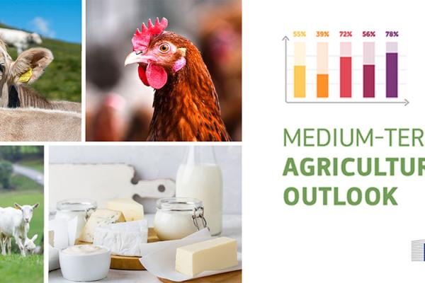 Medium-term agricultural outlook