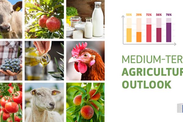 Medium-term agricultural outlook 2020