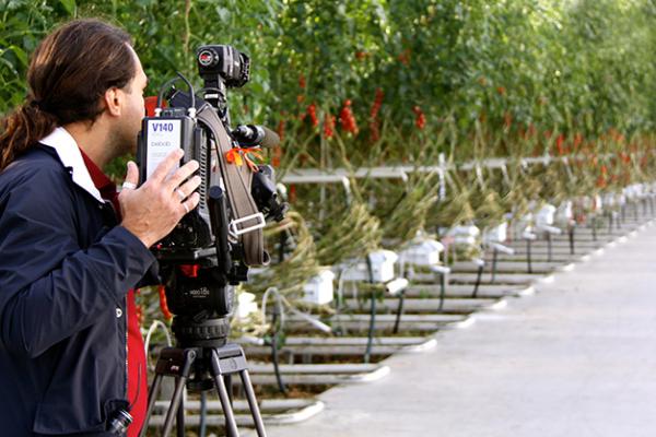 Cameraman taking a photograph of an arable crop