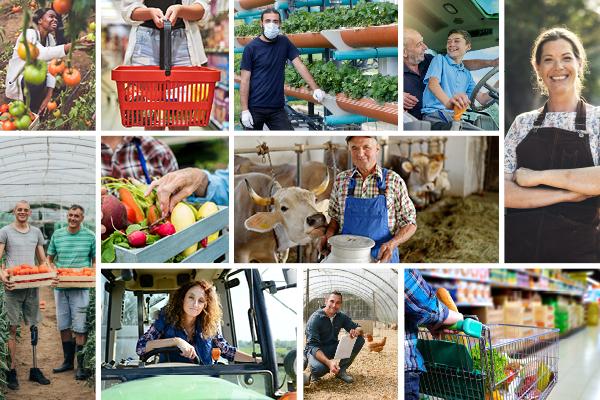 a collage of people on farms producing and supplying food