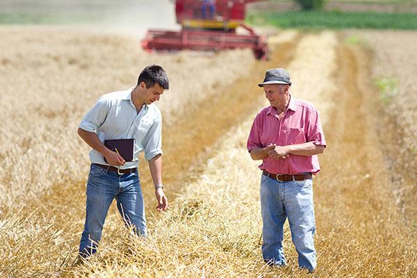 two men standing in a field inspecting an arable crop and a combine in the background