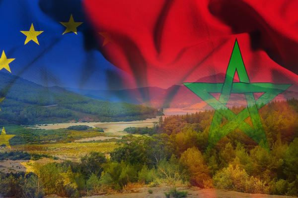 EU and Morocco flags and forests in Morocco