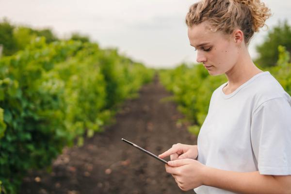 young female farmer standing in a field, holding a Tablet device, analyzing data