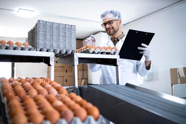 Farmer in white lab coat holding a clipboard and pen, checking the quality of eggs