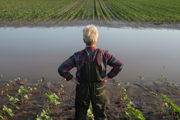 male farmer standing in a flooded field