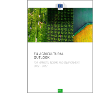 EU agricultural outlook 2022-32 report cover image