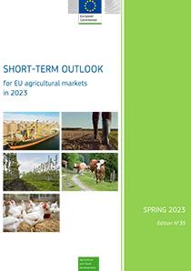 report front cover for short-term outlook spring 2023