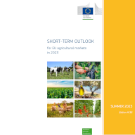short-term outlook report front cover