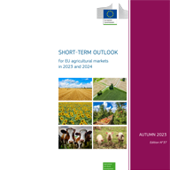 autumn 2023 short-term outlook report front cover